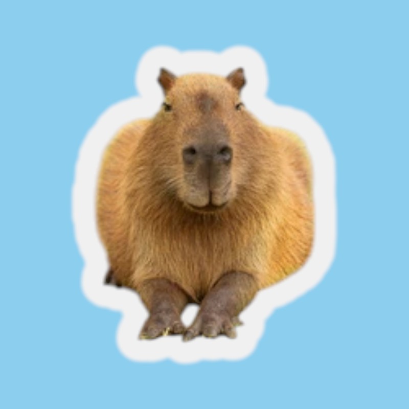 Igračka Capybara plišani jastuk u obliku Kapibare